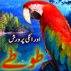 ikon Parrot Care in Urdu