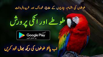 Parrot Care in Urdu โปสเตอร์