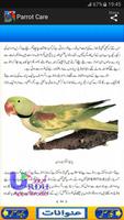 Parrot Care in Urdu скриншот 2