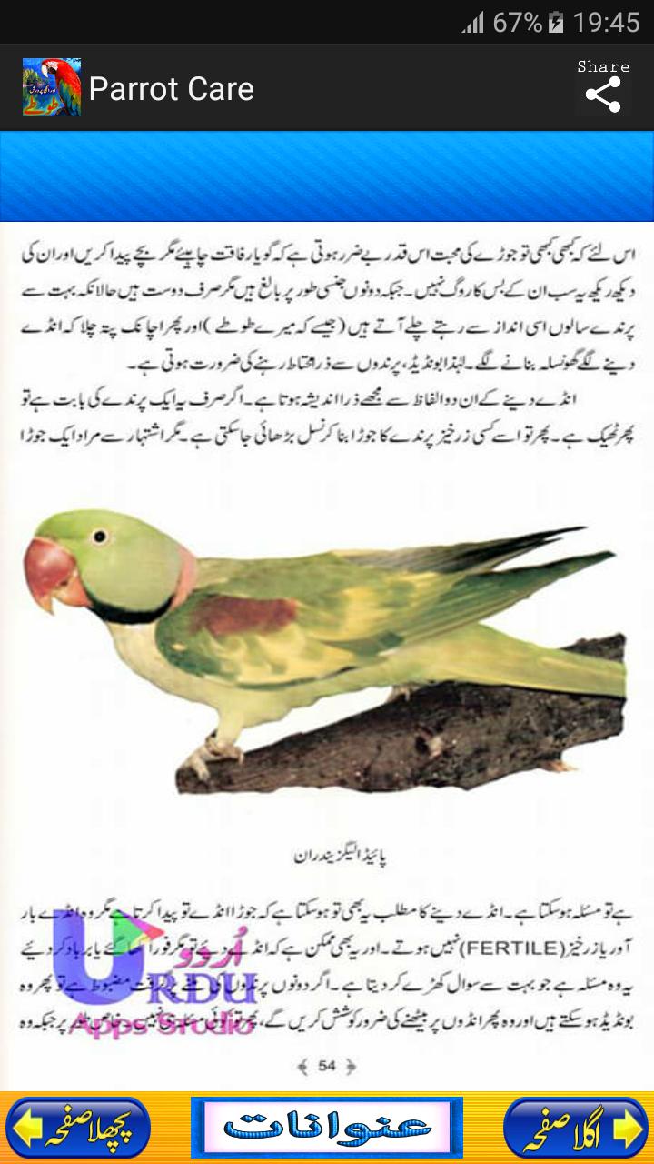 Parrot Care in Urdu for Android - APK Download