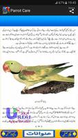 Parrot Care in Urdu imagem de tela 2