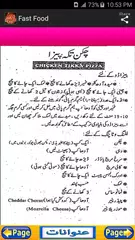 Pizza Urdu Recipes Fast Food APK download