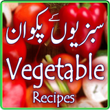 Vegetable Urdu Recipes icône