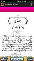 Vegetable Urdu Recipes captura de pantalla 3