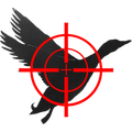 AR Duck Hunt