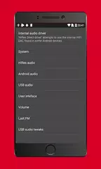Скачать USB Audio Player APK