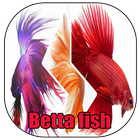 Betta fish アイコン