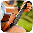 How to Play Ukulele APK