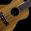 Easy Ukulele - Ukulele Tuner APK