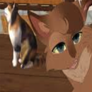 Guide for Ultimate Cat Simulator APK