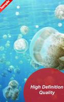 Undersea Wallpaper HD - Fanny 스크린샷 2