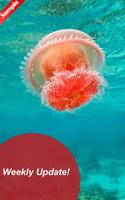 Undersea Wallpaper HD - Fanny 스크린샷 3