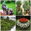 Unique Garden Ideas APK