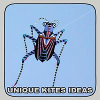 Unique Kites Ideas पोस्टर