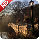 Central Park Wallpaper APK