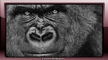 Gorilla Wallpaper تصوير الشاشة 3