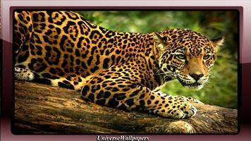 Jaguar Pack 2 Wallpaper 截圖 3