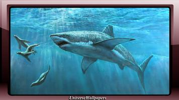 Megalodon Wallpaper screenshot 2