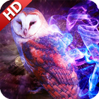 Owl Wallpaper simgesi