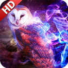 Owl Wallpaper icon