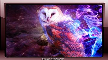 Owl Wallpaper Affiche