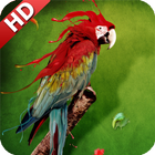 Parrot Wallpaper ไอคอน