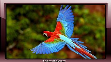 Parrot Wallpaper تصوير الشاشة 3