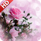 Pink Rose Wallpaper أيقونة