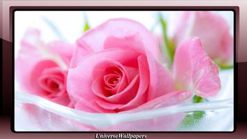 Pink Rose Wallpaper تصوير الشاشة 1