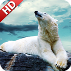Polar Bear Wallpaper ไอคอน