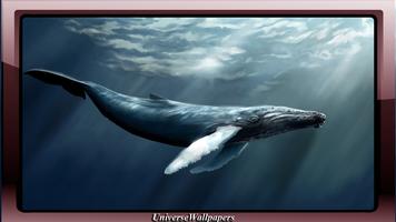 Whale Wallpaper screenshot 1