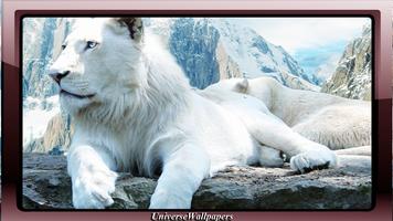 برنامه‌نما White Lion Wallpaper عکس از صفحه