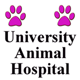 University Animal Hospital icon