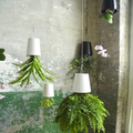 Upside Down Garden