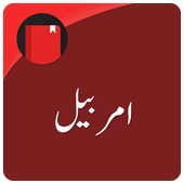 Amarbail (Urdu Novel) icon