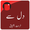 Dil Se (Urdu Novel)