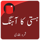 Hasti ka Ahang (URDU NOVEL) APK