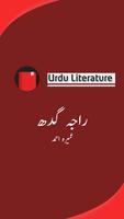 Raja Gidh (Urdu Novel) تصوير الشاشة 2
