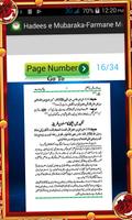 Hadees e Mubaraka-Farmane Must screenshot 3