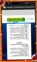 برنامه‌نما Hadees e Mubaraka-Farmane Must عکس از صفحه