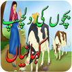 Kids Best Stories in Urdu
