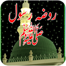 Roza e Rasool Live Wallpaper APK