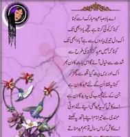 Urdu Poesía Ideas de Diseño captura de pantalla 3