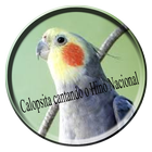 Calopsita cantando o Hino Nacional simgesi