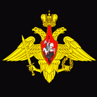 Russian Army Statutes icône
