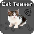 Cat Teaser Zeichen