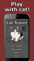 Cat Teaser Plakat