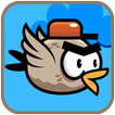 City Bird Zeichen