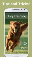 Dog Training plakat