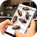 Cockroach on Screen – Funny Joke with Fake Bugs APK